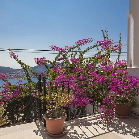 Asya Villa