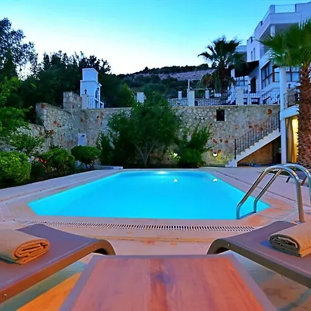 Asya Villa